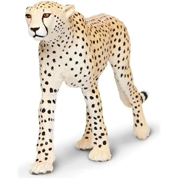 Safari® Guépard