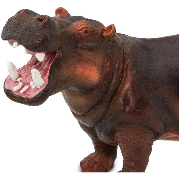 Safari® Hippopotame amphibie