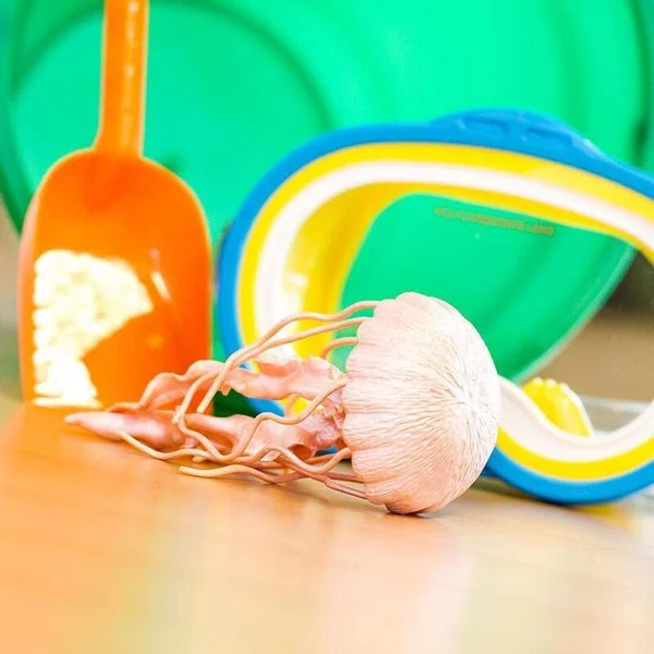 Safari® Méduse urticante