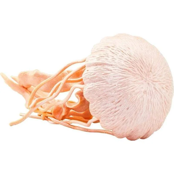 Safari® Méduse urticante