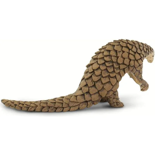Safari® Pangolin