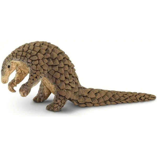 Safari® Pangolin