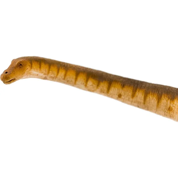 Safari® Patagotitan dinosaure