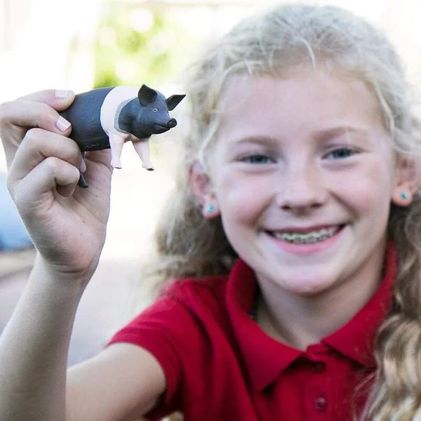 Safari® Porc Hampshire