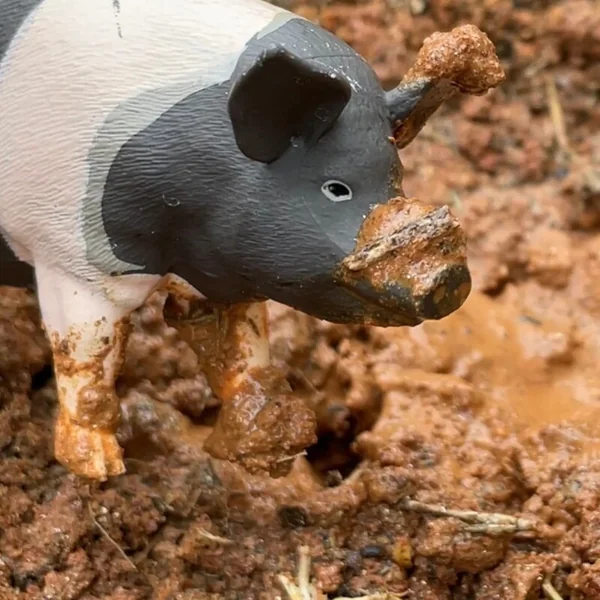 Safari® Porc Hampshire