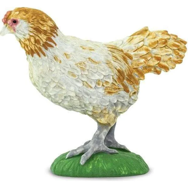 Safari® Poule Ameraucana