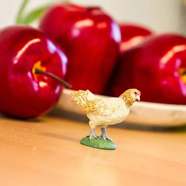 Safari® Poule Ameraucana