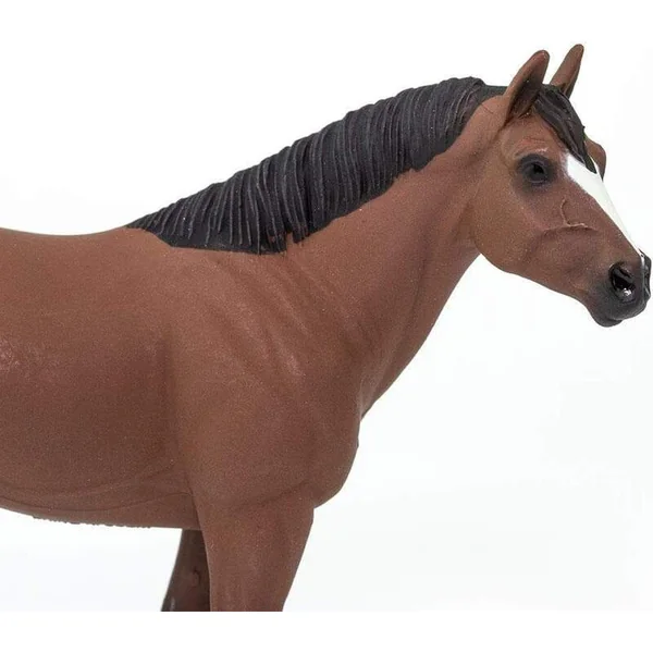 Safari® Quarter horse hongre cheval