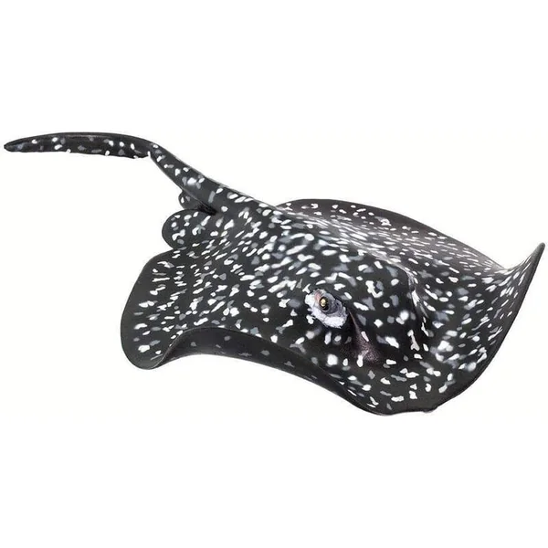 Safari® Raie géante tachetée