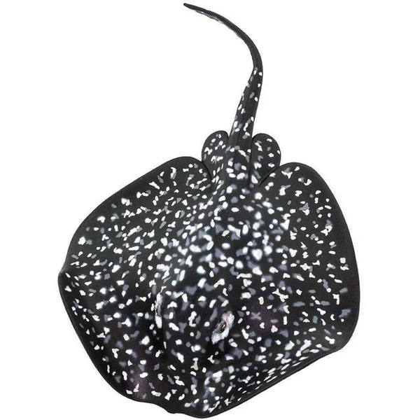 Safari® Raie géante tachetée