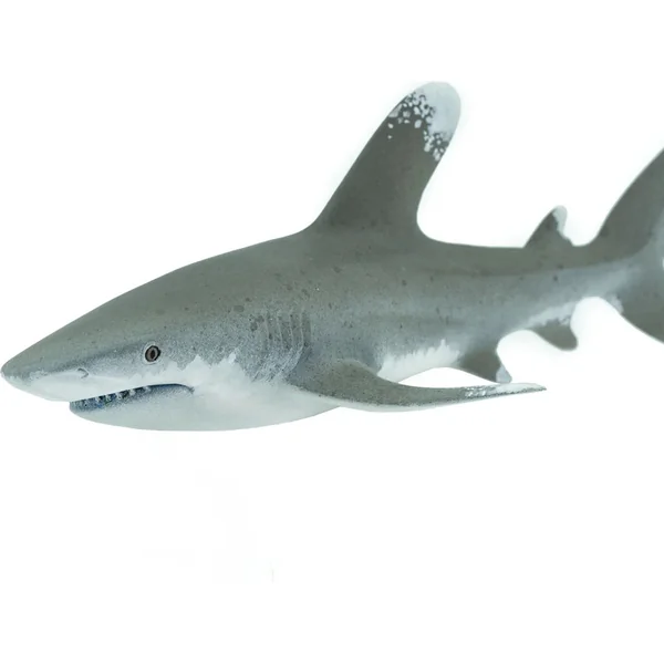 Safari® Requin à nageoires blanches