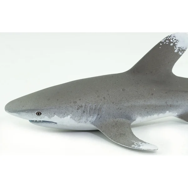 Safari® Requin à nageoires blanches