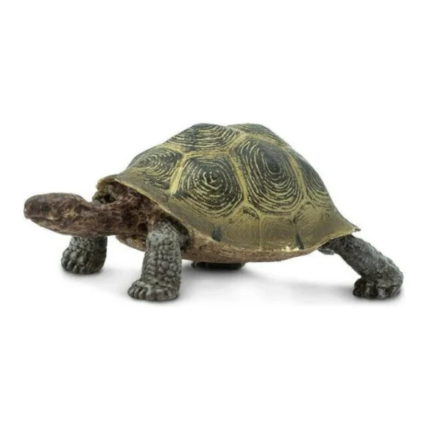 Safari® Tortue du désert