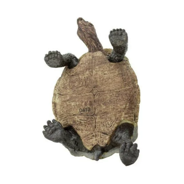 Safari® Tortue du désert