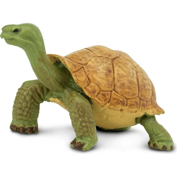 Safari® Tortue géante