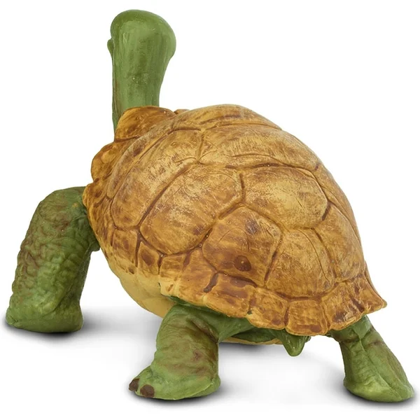 Safari® Tortue géante
