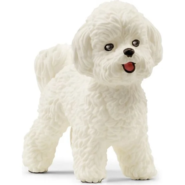 Schleich Bichon frisé