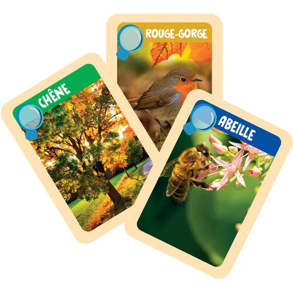 SCIENCES ET JEU - LES APPRENTIS EXPLORATEURS