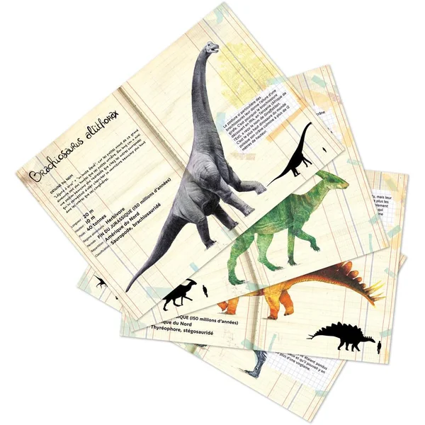 SET DE 21 MAGNETS DINOSAURES MUSEUM