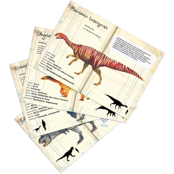 SET DE 21 MAGNETS DINOSAURES MUSEUM