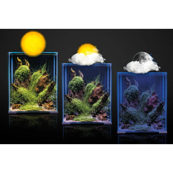 Sinkor LED Maister 75 cm WRGB 75W avec Wifi LED Control