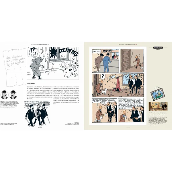 Tintin, Les coulisses d'une oeuvre N°08: Le Sceptre d'Ottokar, par Philippe Goddin et Dominique Maricq