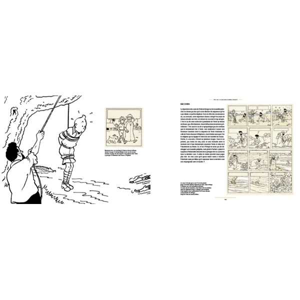 TINTIN: LES TRIBULATIONS DE TINTIN AU CONGO - monographie de Philippe Goddin