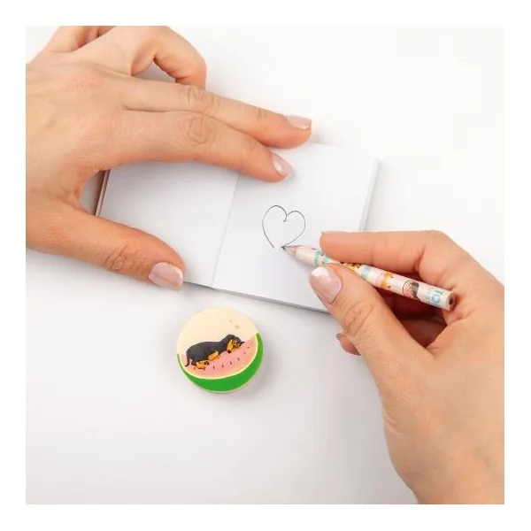 TOPMODEL SAC A DOS STATIONNAIRE