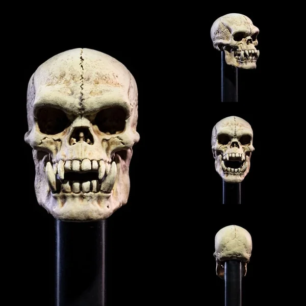 Undead Heads Pack accessoires pour figurines Mythic Legions All Stars 6 Four Horsemen