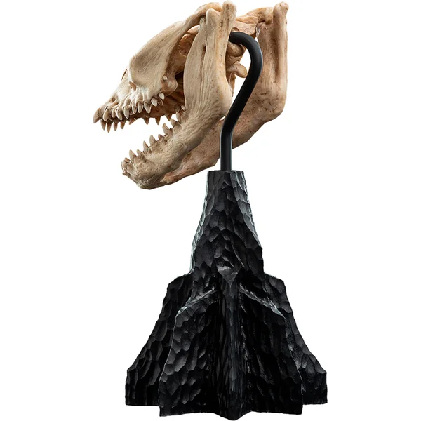 Weta Workshop Le Seigneur des Anneaux - Crâne d'une Bête Ailée Miniature