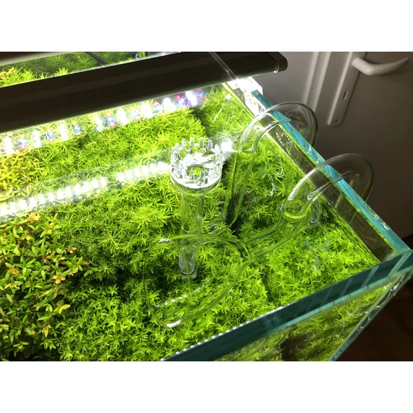 Écumoire Lily pipe 16/22 mm