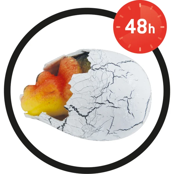 Œuf de dinosaure en maturation (D6G)