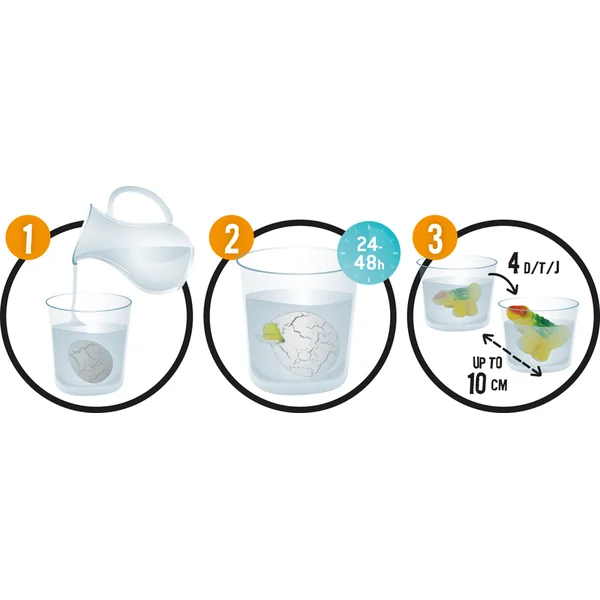 Œuf de dinosaure en maturation (D6G)